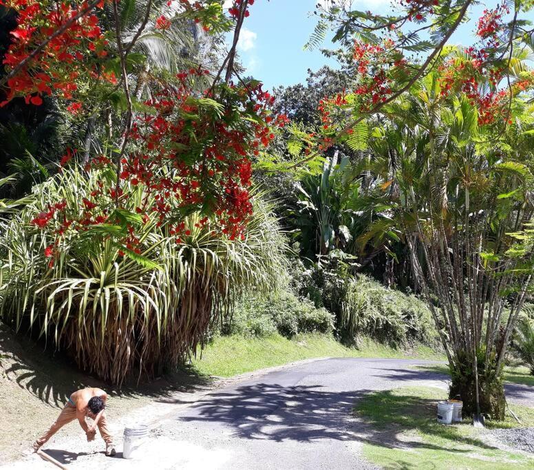 Swim & Paint Art Retreat Apartment Las Piedras Exterior photo