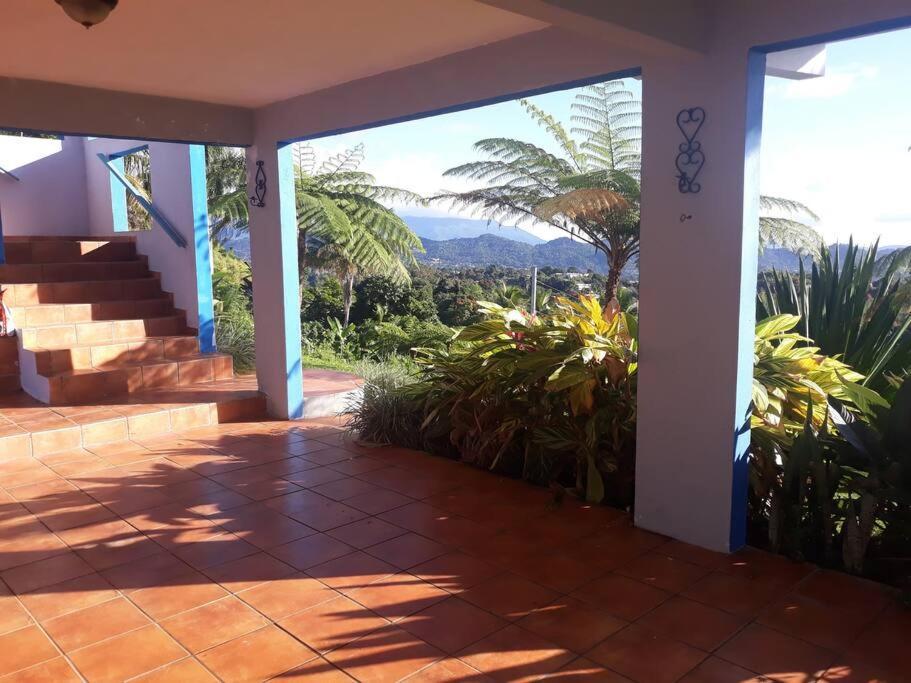 Swim & Paint Art Retreat Apartment Las Piedras Exterior photo