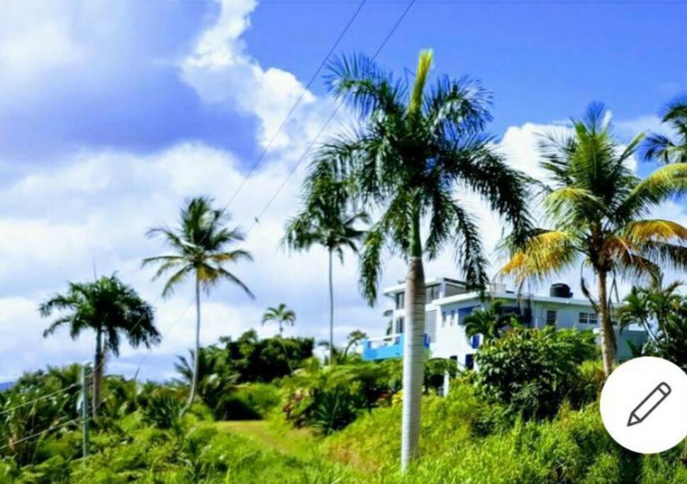 Swim & Paint Art Retreat Apartment Las Piedras Exterior photo