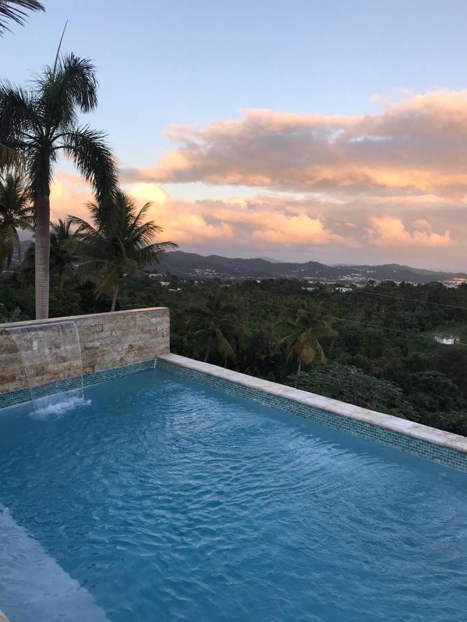 Swim & Paint Art Retreat Apartment Las Piedras Exterior photo