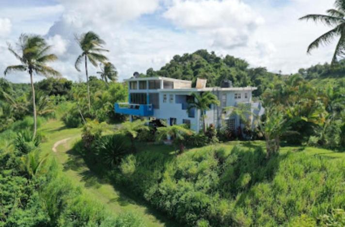 Swim & Paint Art Retreat Apartment Las Piedras Exterior photo