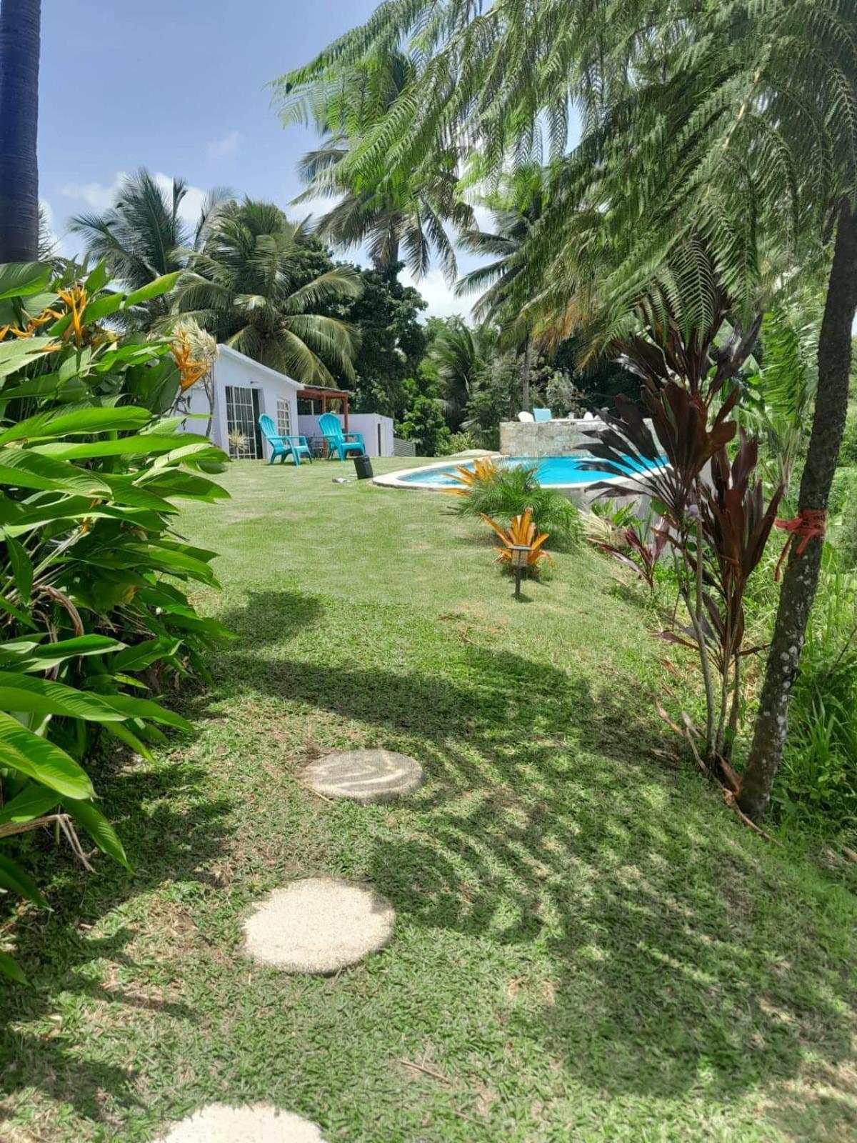 Swim & Paint Art Retreat Apartment Las Piedras Exterior photo
